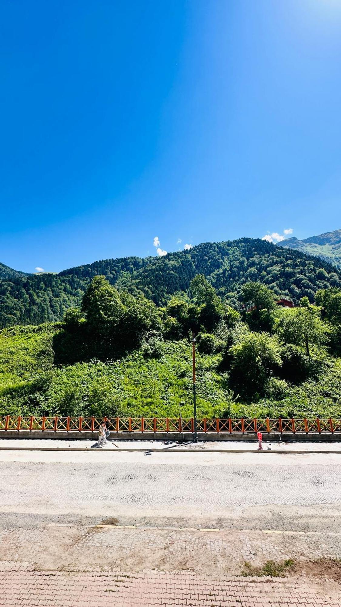 Villa Tapanoz Hồ Uzungöl Ngoại thất bức ảnh